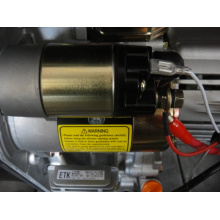 5kw generador diesel conjunto con potente alternador (FX6800E)